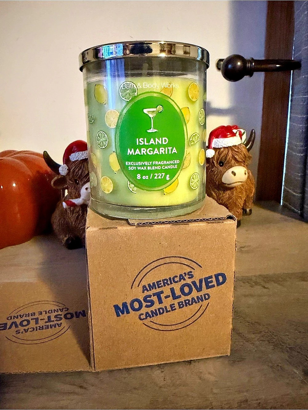 Bath & Body Works Island Margarita Single Wick Candle Green